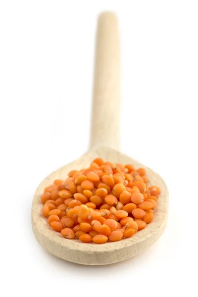 Lentils in a wooden spoon on white background — Stock Photo, Image