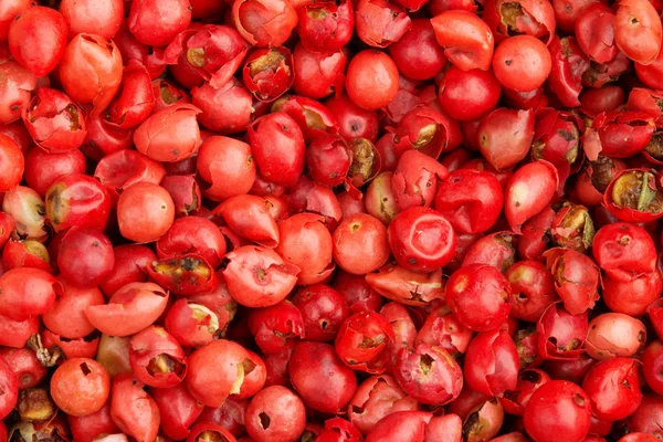 Primer plano de un fondo de granos de pimienta roja seca — Foto de Stock