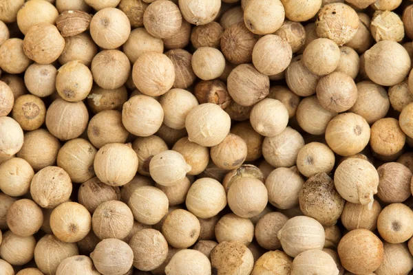 Close up of a background of white peppercorns — Stock Photo, Image