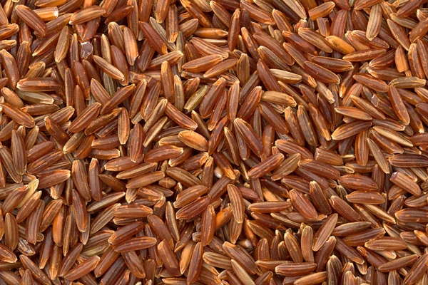 Close up van achtergrond van ruwe rode rijst — Stockfoto