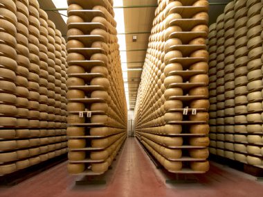 parmesan ve tekerlekli bir depo rafları