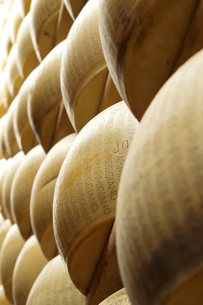 Close up of wheels of cheese on the racks — Stock Photo, Image