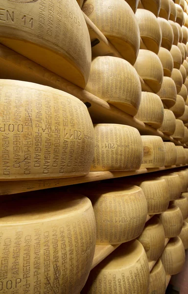 Сыр пармезан, сложенный в созревающем складе — стоковое фото