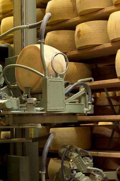 Robot in een volwassen opslagplaats van Parmezaanse kaas — Stockfoto