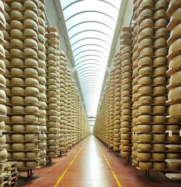 Veduta di un magazzino di stagionatura di parmigiano — Foto Stock