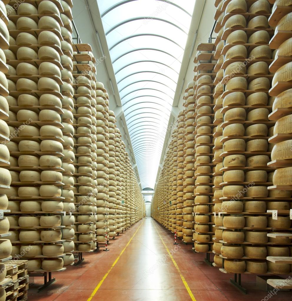 View of a maturing storehouse of parmesan cheese