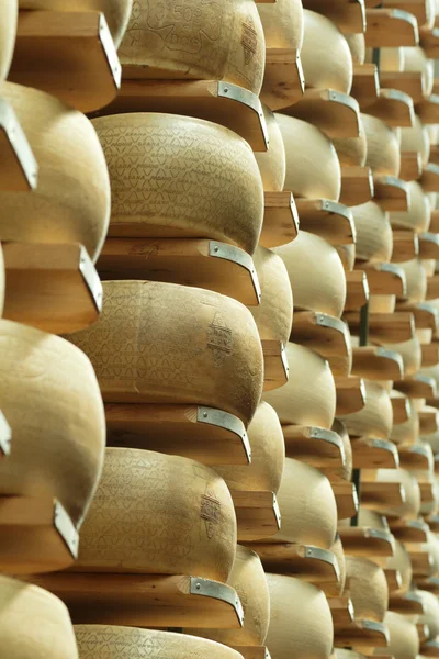 Parmesan cheese in the shelves of a maturing storehouse — Stock Photo, Image