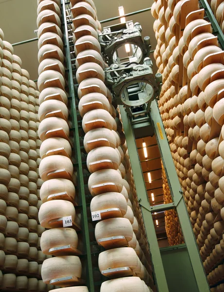 Robot in the aisles of a dairy factory — Stock Photo, Image