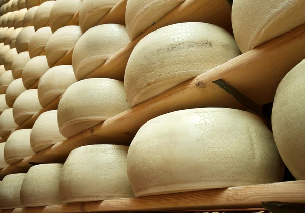 Купа свіжозроблених коліс сиру — стокове фото