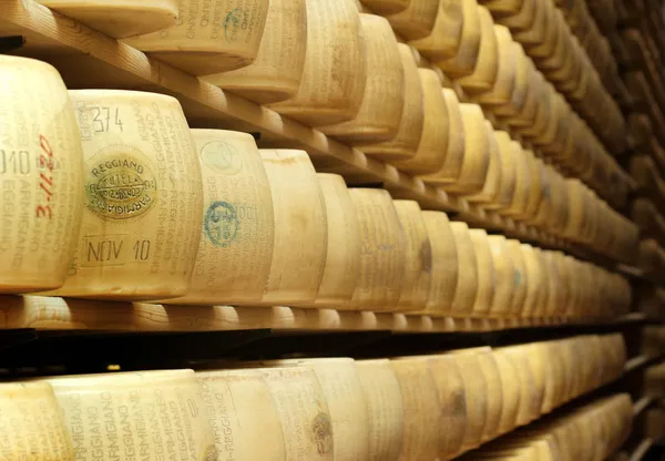 Wheels of italian typical hard cheese in a cheese factory — Stock Photo, Image