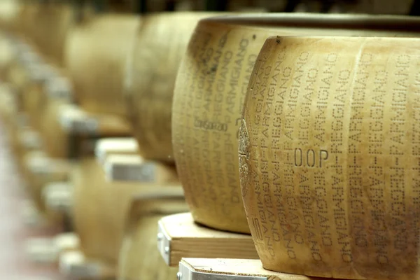 Primo piano di una ruota di parmigiano stagionato — Foto Stock