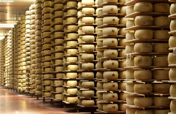 Shelves of a cheese maturing warehouse — Stock Photo, Image