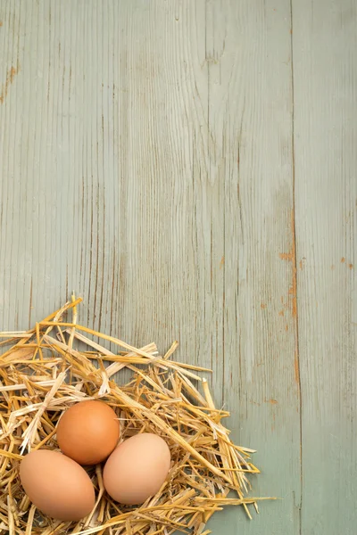 Freshly laid eggs in nest of hay on wooden background — Stock Photo, Image