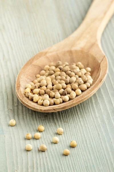 Gros plan de grains de poivre blanc dans une cuillère en bois — Photo