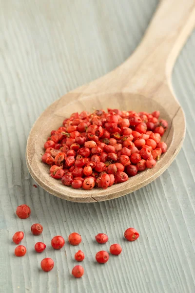 Primer plano de pimiento rojo en una cuchara de madera — Foto de Stock