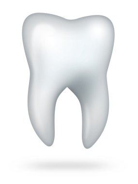 Beyaz arka plan üzerinde izole sağlıklı molar diş