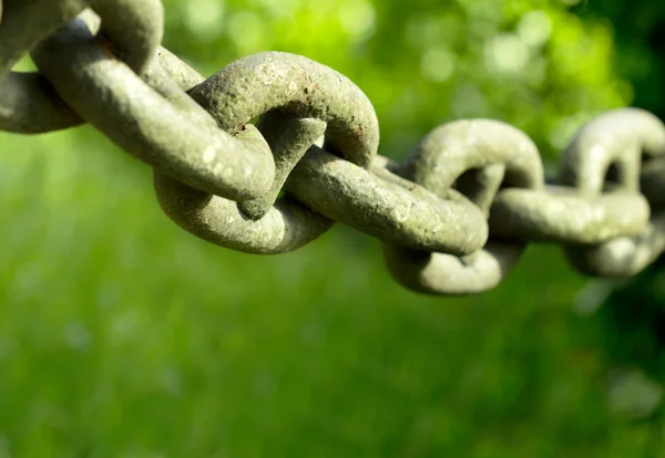 Bliska łańcucha żelaza na zielonym tle — Zdjęcie stockowe