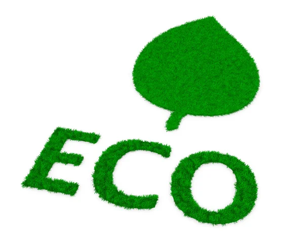 Hoja y palabra "eco" hecha de hierba — Foto de Stock