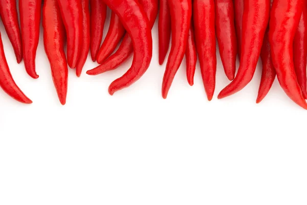 Fila de Red Chillies em fundo branco — Fotografia de Stock