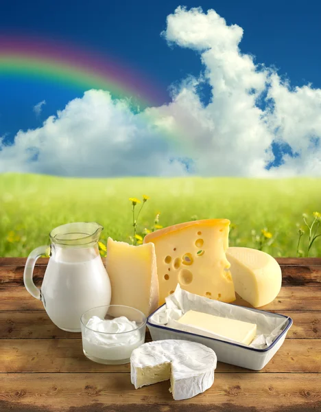 Assortment of dairy products in a rural scenery — Stock Photo, Image