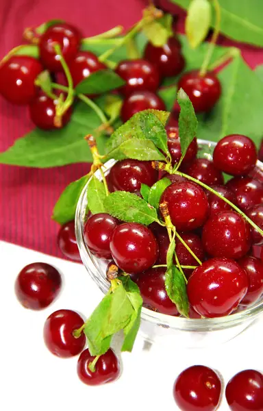 Cherry berries — Stock Photo, Image