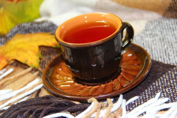 Teeaufguss und Herbstlaub — Stockfoto