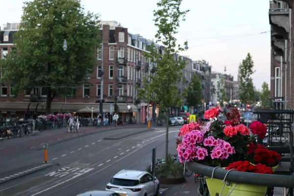 Amsterdam caddesindeki pencerede çiçekler