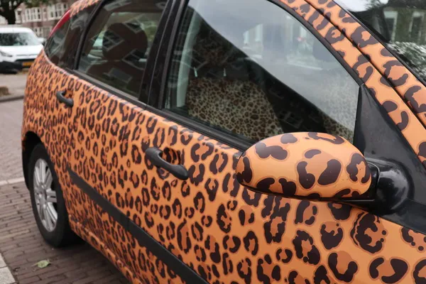 Leopar desenli kadın arabası.