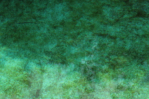 Streszczenie Tekstury Zielonej Wody — Zdjęcie stockowe