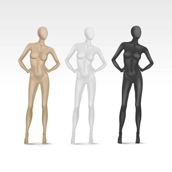 Vector Isolated Female Mannequin — Stock Vector