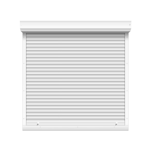 Vector Window with Rolling Shutters