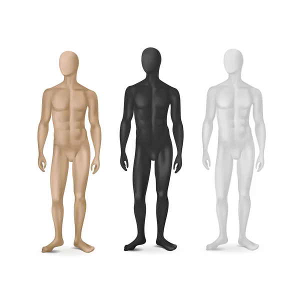Vector Set of Three Male Mannequins — Stock Vector