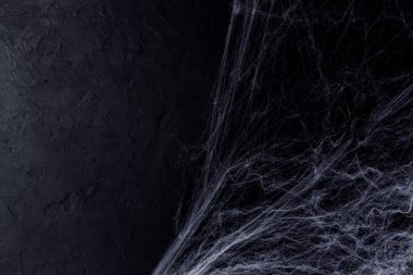 Siyah arka planda örümcek ağı olan cadılar bayramı arkaplanı. Mutlu Cadılar Bayramı konsepti.