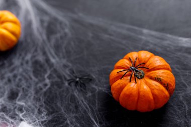 Siyah arka planda Cadılar Bayramı balkabakları Korkunç örümcek ve ağ.