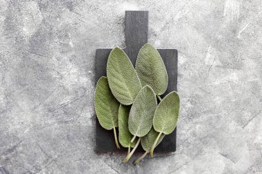 Koyu gri arka planda taze adaçayı yaprakları.