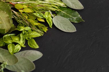 Koyu arkaplanda taze İtalyan otları. Çeşit çeşit otlar, fesleğen, biberiye, mersin, defne