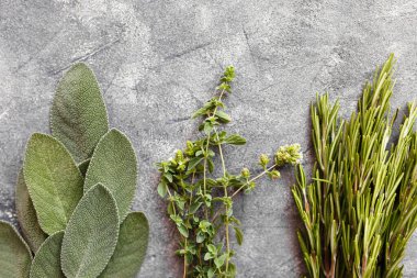 Koyu arkaplanda taze İtalyan otları. Çeşit çeşit otlar, fesleğen, biberiye, mersin, defne