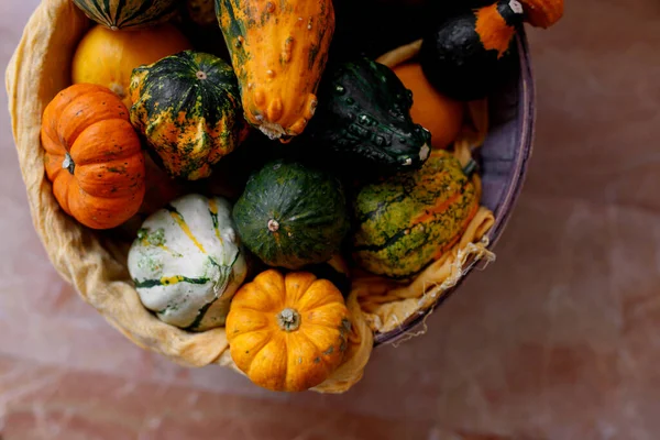 Fondo Acción Gracias Calabaza Otoño Calabazas Naranjas Sobre Mesa Negra — Foto de Stock