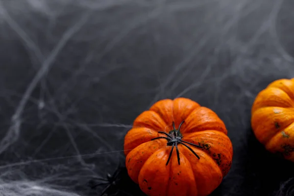 Citrouilles Halloween Sur Fond Noir Avec Araignée Toile Effrayantes — Photo