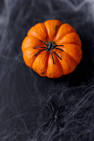 Citrouilles Halloween Sur Fond Noir Avec Araignée Toile Effrayantes — Photo