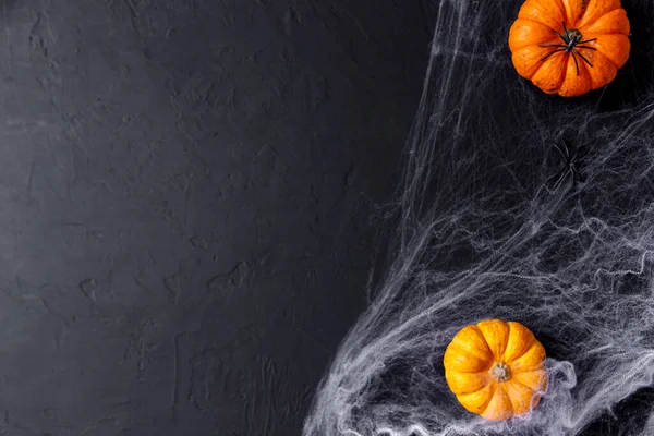 Citrouilles Halloween Sur Fond Noir Avec Araignée Toile Effrayantes — Photo