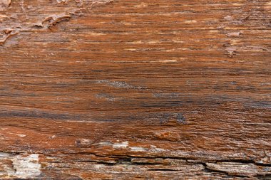 Doğal meşe dokusu, güzel ahşap tahıllar, ceviz ağacı, ahşap zemin. Ağaç kabuğu.