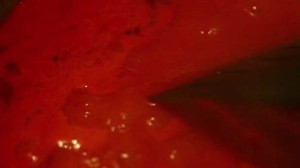 Підготовка італієвого томатного соусу з свіжими помідорами і базилем. — стокове відео
