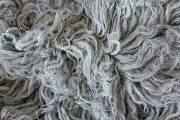 Фон из шерсти Flokati, натуральная шерсть — стоковое фото