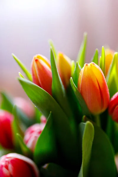 Schöner Tulpenstrauß, blumiger Rand. Layout für die Frühlingsferien. Grußkarte zum Muttertag. — Stockfoto