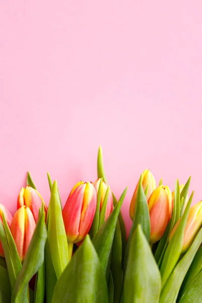 Bonito manojo de tulipanes, borde floral. Diseño para las vacaciones de primavera. Tarjeta de felicitación del día de madre. — Foto de Stock