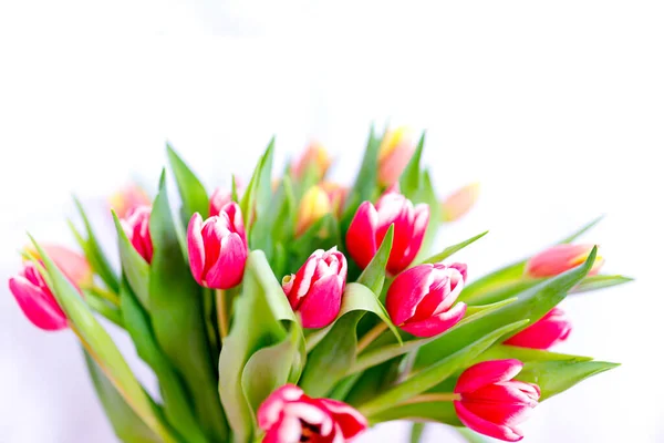 Schöner Tulpenstrauß, blumiger Rand. Layout für die Frühlingsferien. Grußkarte zum Muttertag. — Stockfoto