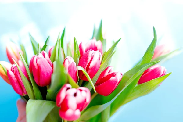 Schöner Tulpenstrauß, blumiger Rand. Layout für die Frühlingsferien. Grußkarte zum Muttertag. — Stockfoto