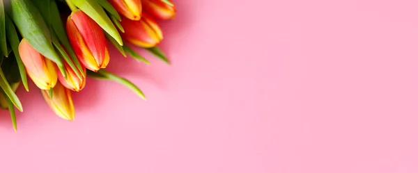 Bonito Manojo Tulipanes Borde Floral Diseño Para Las Vacaciones Primavera — Foto de Stock