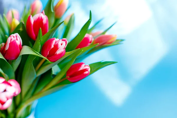 Schöner Tulpenstrauß Blumiger Rand Layout Für Die Frühlingsferien Grußkarte Zum — Stockfoto